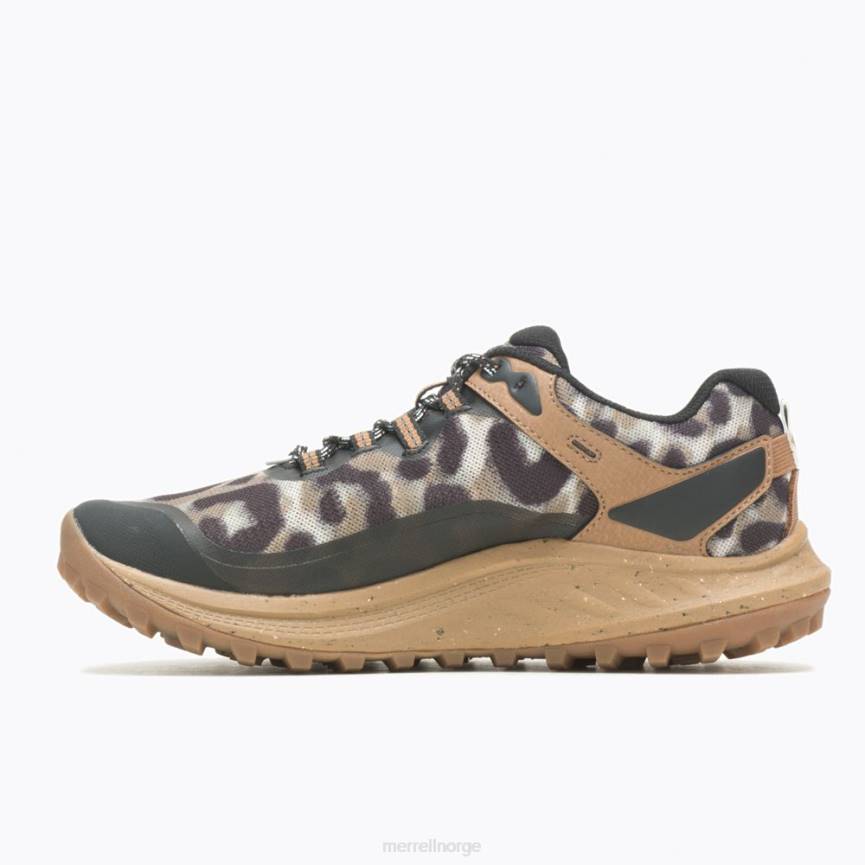 64NP1041 sepia leopard Merrell antora 3 leopard (j067552)