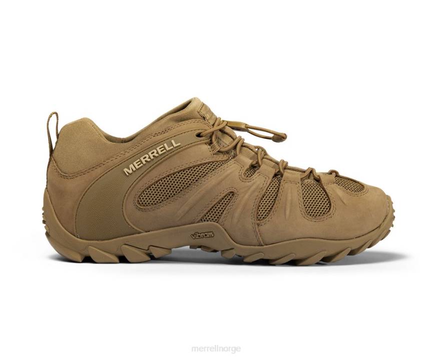 64NP480 prærieulv Merrell cham 8 stretch taktisk (j099407)