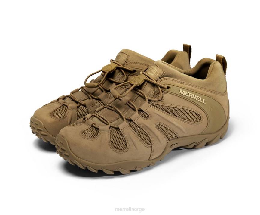 64NP480 prærieulv Merrell cham 8 stretch taktisk (j099407)