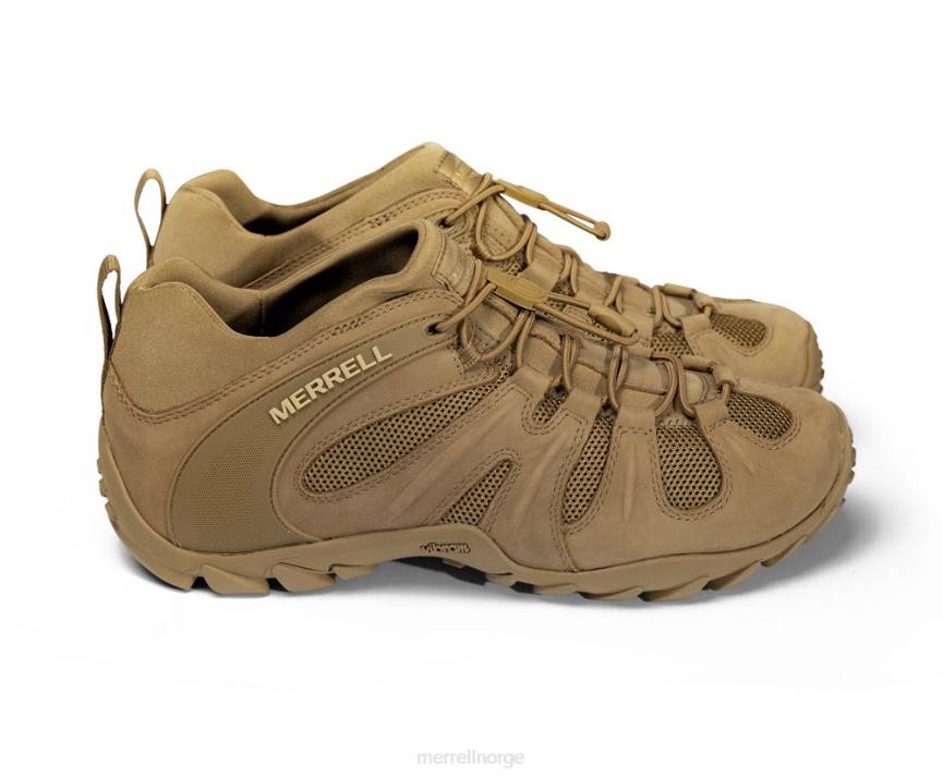 64NP480 prærieulv Merrell cham 8 stretch taktisk (j099407)