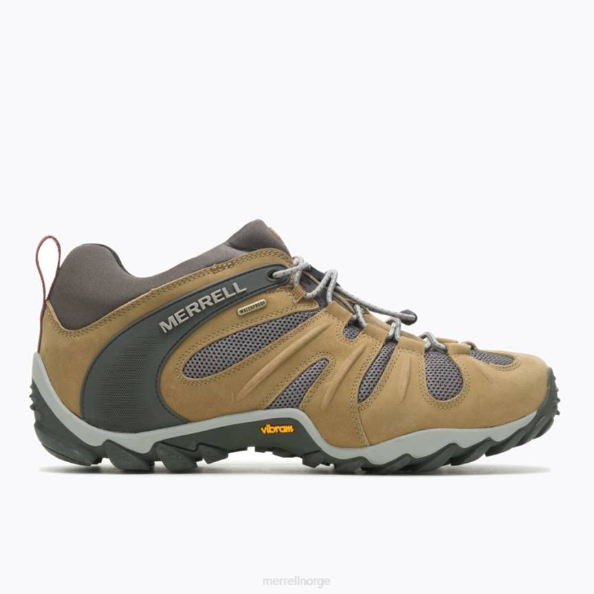 64NP183 butternut Merrell chameleon 8 stretch vanntett (j500017)