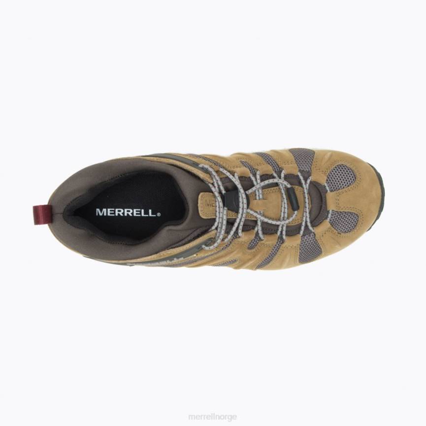 64NP183 butternut Merrell chameleon 8 stretch vanntett (j500017)