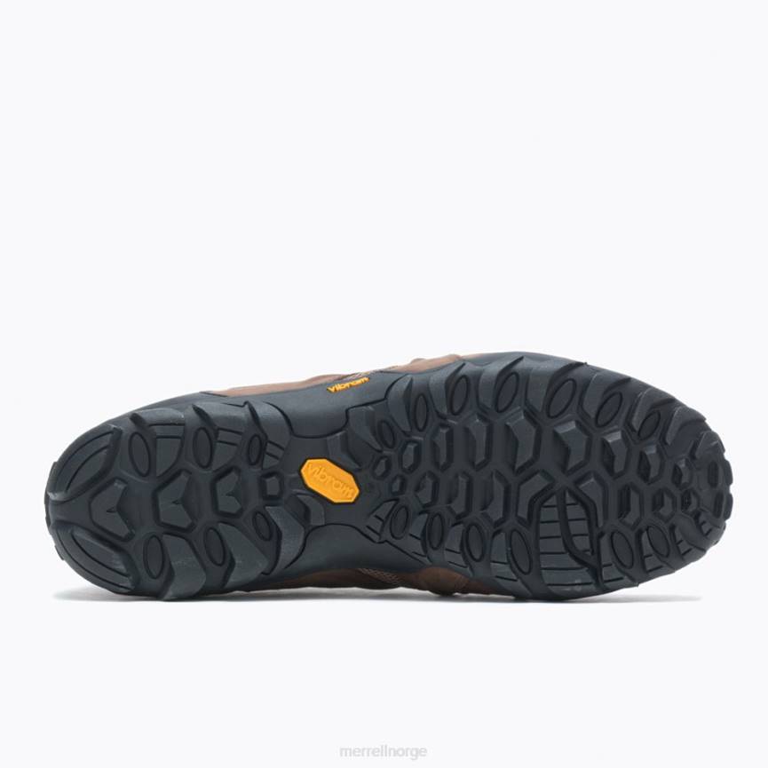 64NP281 jord Merrell chameleon 8 stretch (j135435)