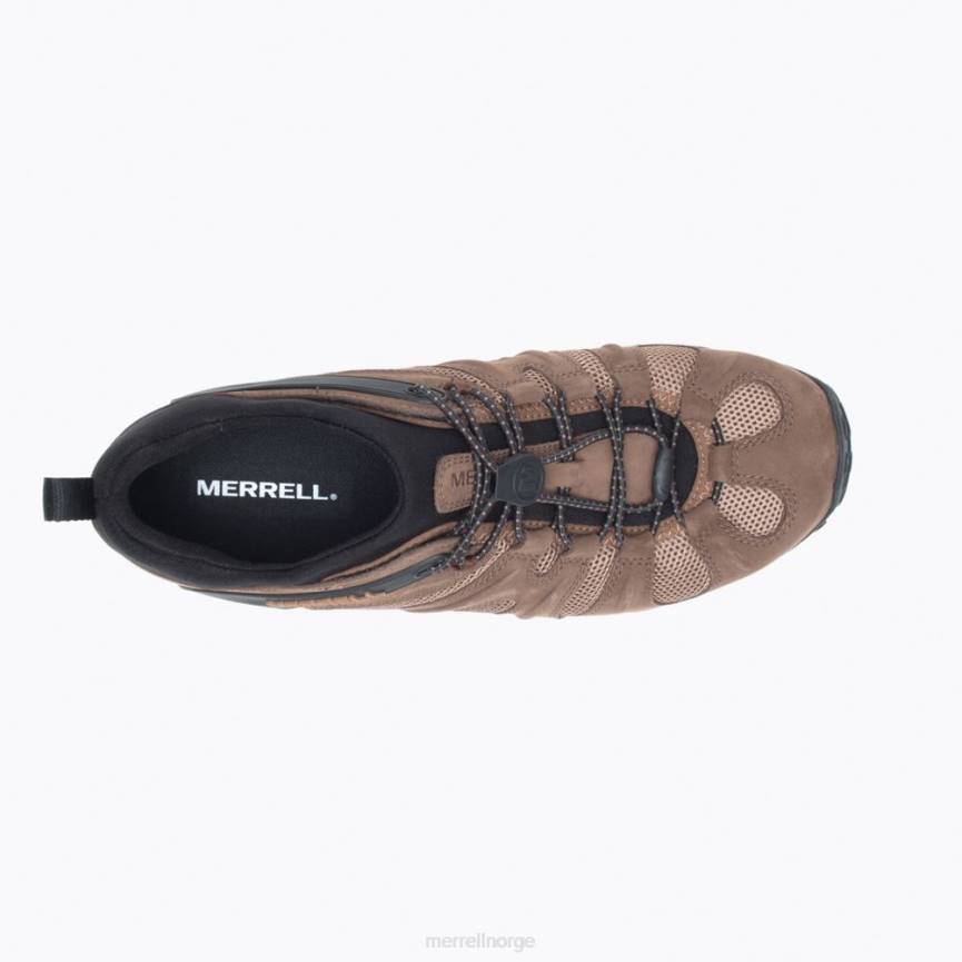 64NP281 jord Merrell chameleon 8 stretch (j135435)