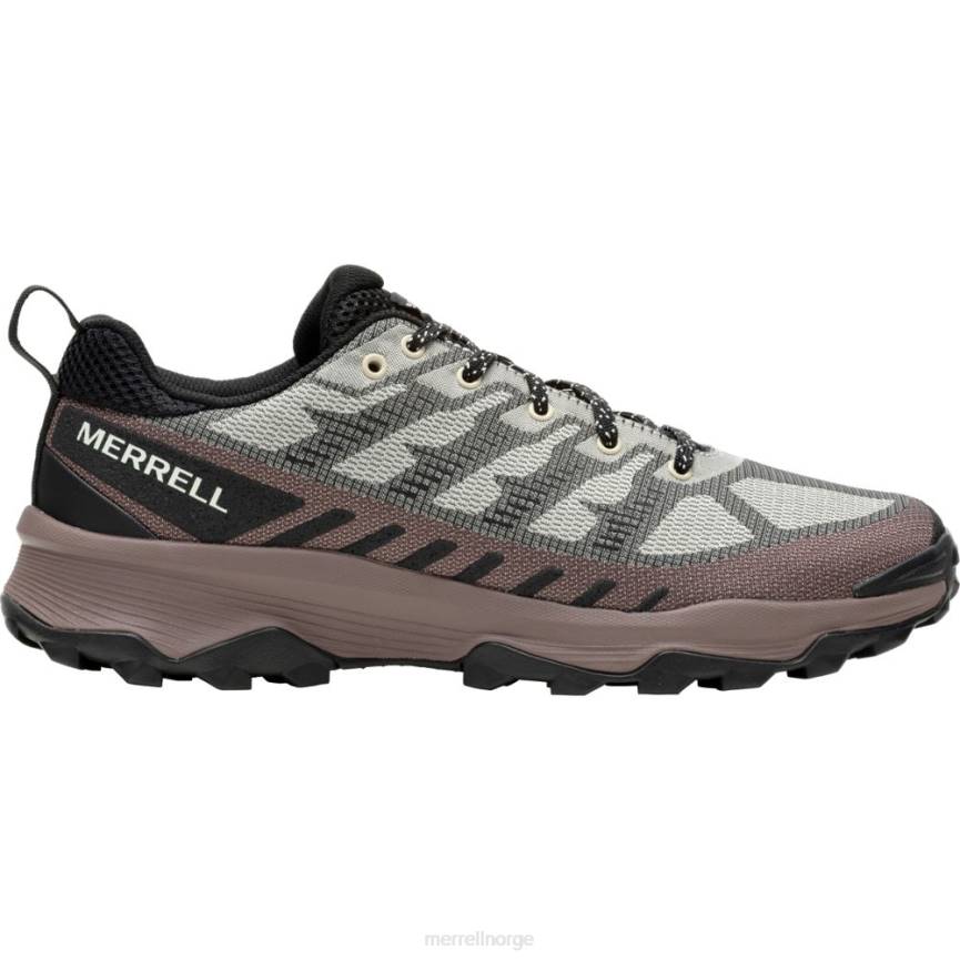 64NP31 østers/marron Merrell speed eco (j037127)